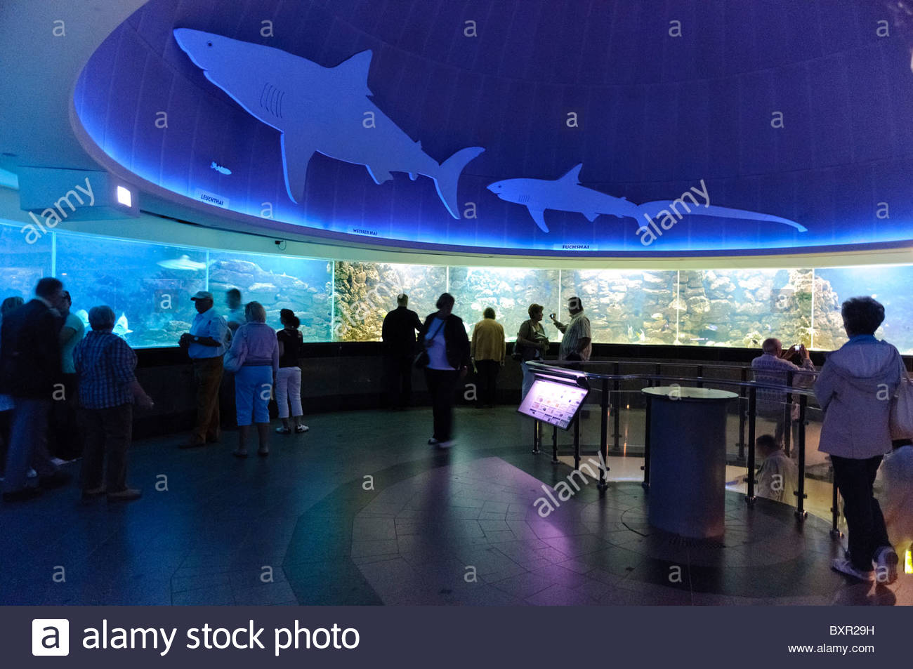 Zoological Garden Aquarium Stock Photos Zoological Garden