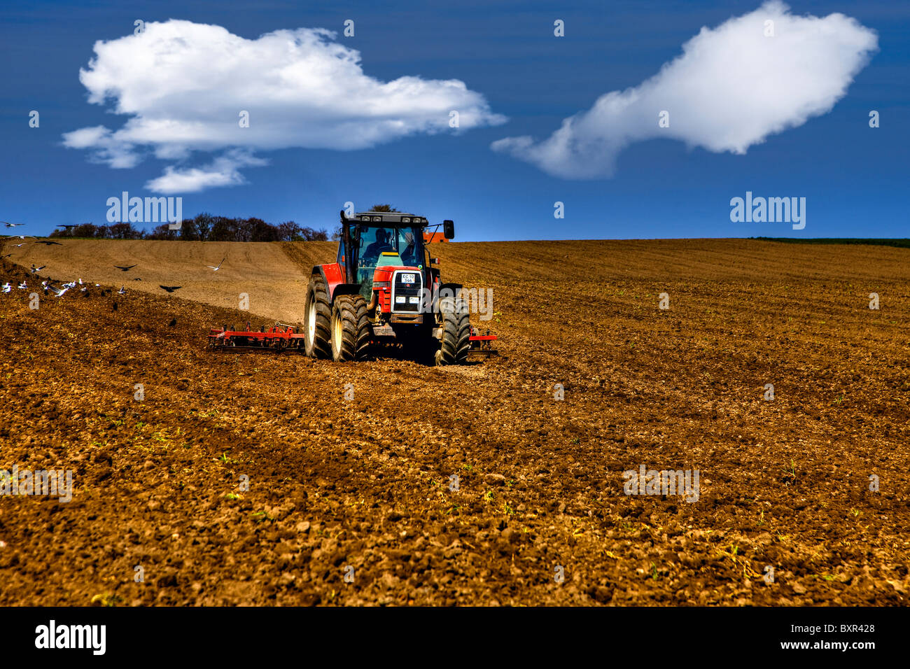 Preparing farm land with tractor and harrow Stock Photo Alamy Preparing farm land with tractor and harrow Stock Photo Alamy