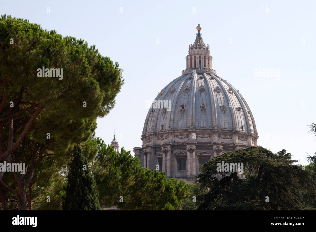 The Dome of St. Peter's Basilica seen through the trees in the Vatican City, Rome Stock Photo
