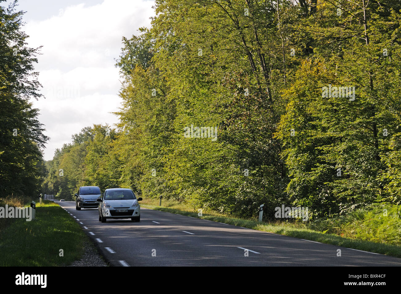 Cars travelling along Depatment road D332 through avenue of trees in Compiegne Forest France Stock Photo