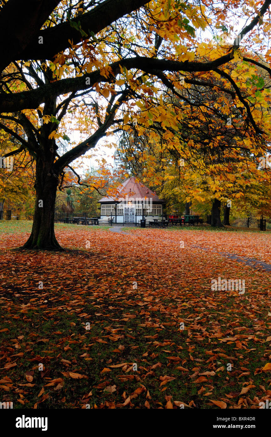 phoenix park tea room rooms cafe coffee shop autumn fall dublin ireland