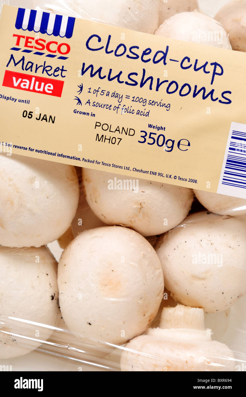 Mushrooms,Tesco closedcup 350g pack Stock Photo Alamy