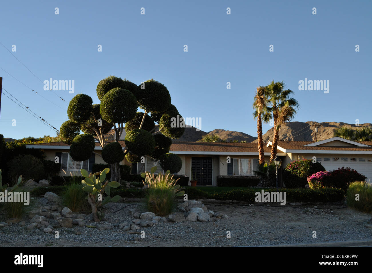 Desert bungalow, Palm Springs, California, early morning light. Architecture and nature blend in desert landscape. Stock Photo