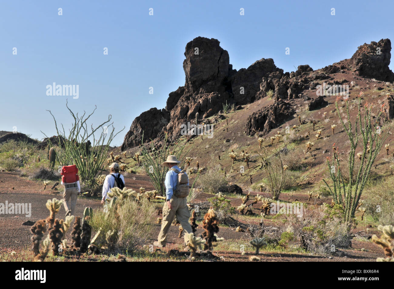 Hikers walking toward El Tecolote Cinder Cone, El Pinacate Biosphere Reserve, Sonora, Mexico Stock Photo