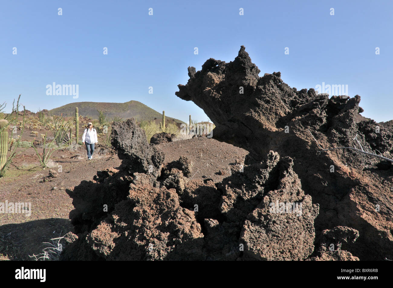 Rough shaped lava in El Pinacate Biosphere Reserve, Sonora, Mexico Stock Photo