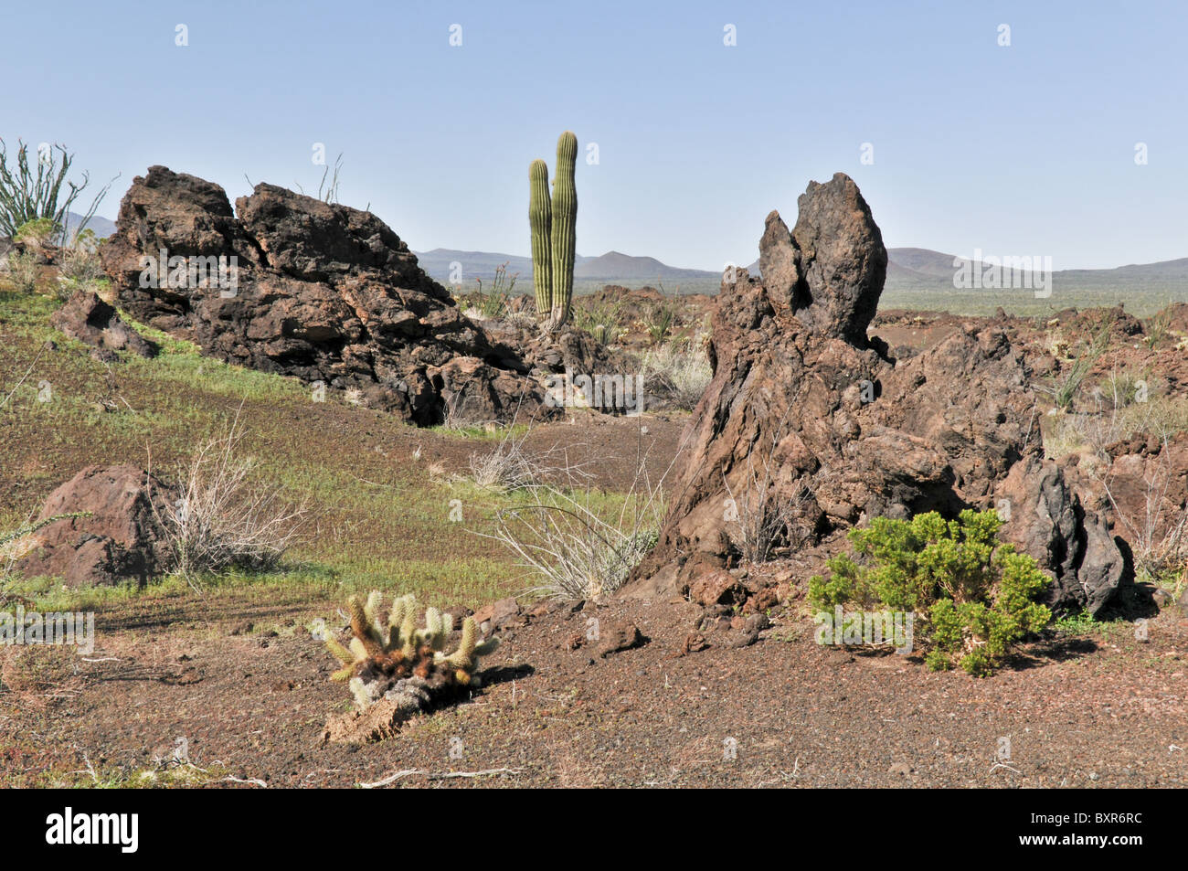 View of rough shaped lava formations in El Pinacate Biosphere Reserve, Sonora, Mexico Stock Photo