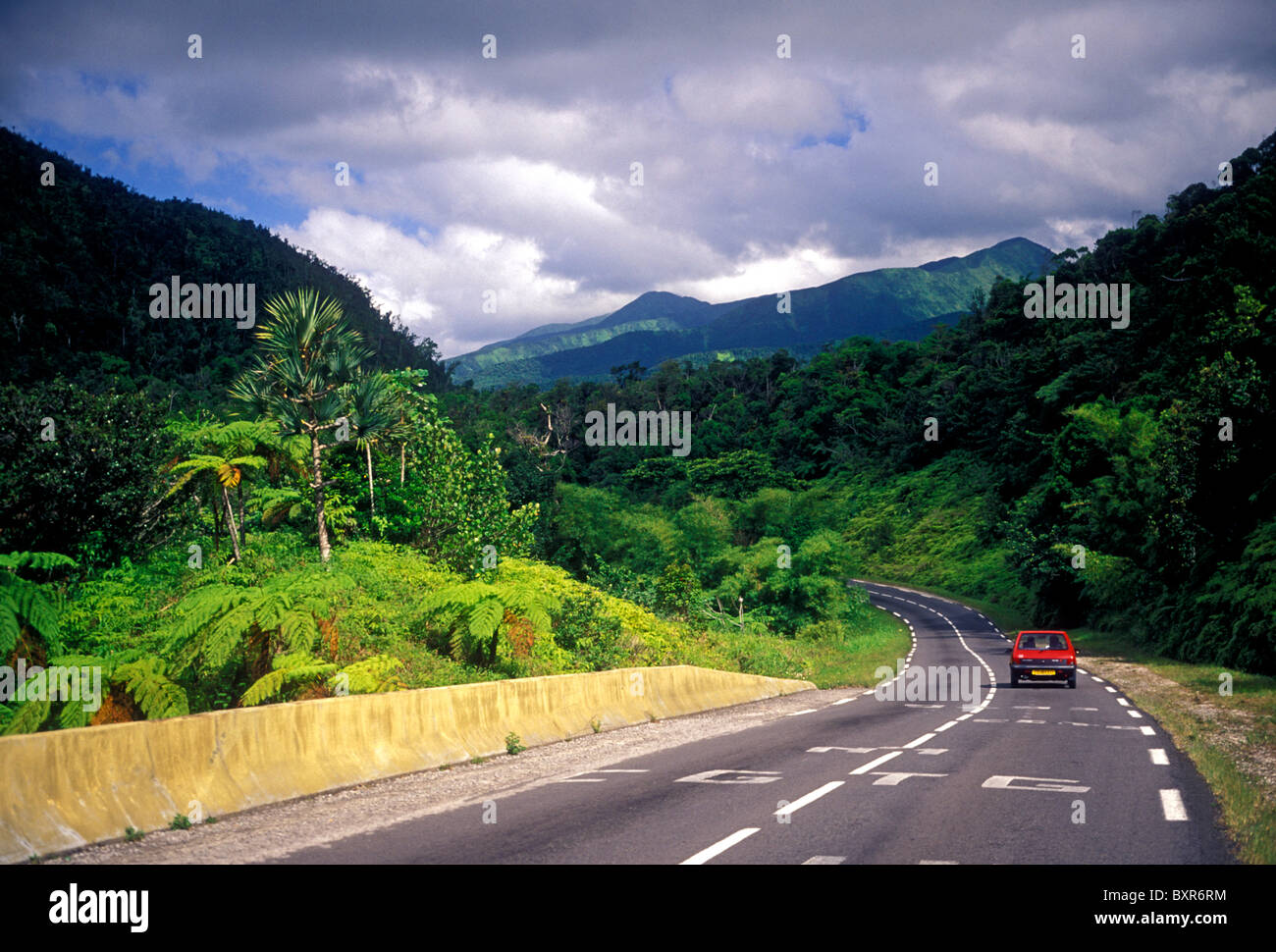 red car, road trip, Route de la Traversee, Guadeloupe National Park
