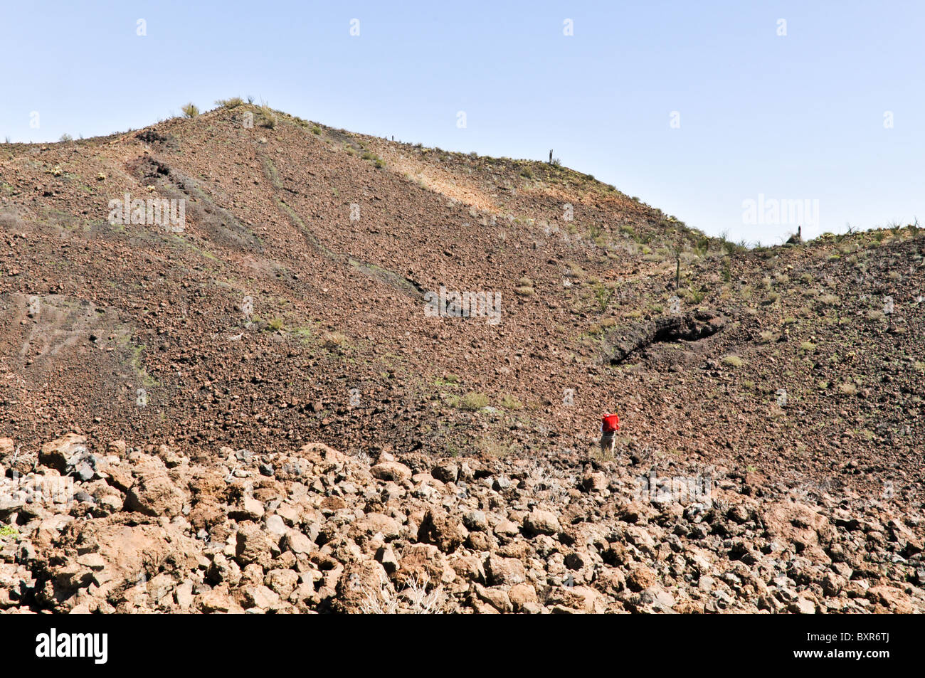 Geologist in field of volcanic bombs, ejected magma which cooled while falling, El Pinacate Biosphere Reserve, Sonora, Mexico Stock Photo