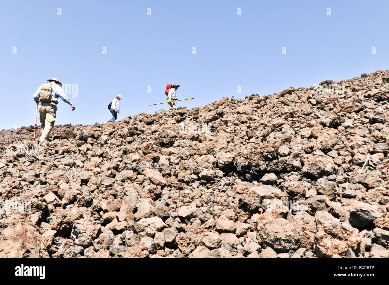 Hikers in field of volcanic bombs, ejected magma which cooled while falling, El Pinacate Biosphere Reserve, Sonora, Mexico Stock Photo