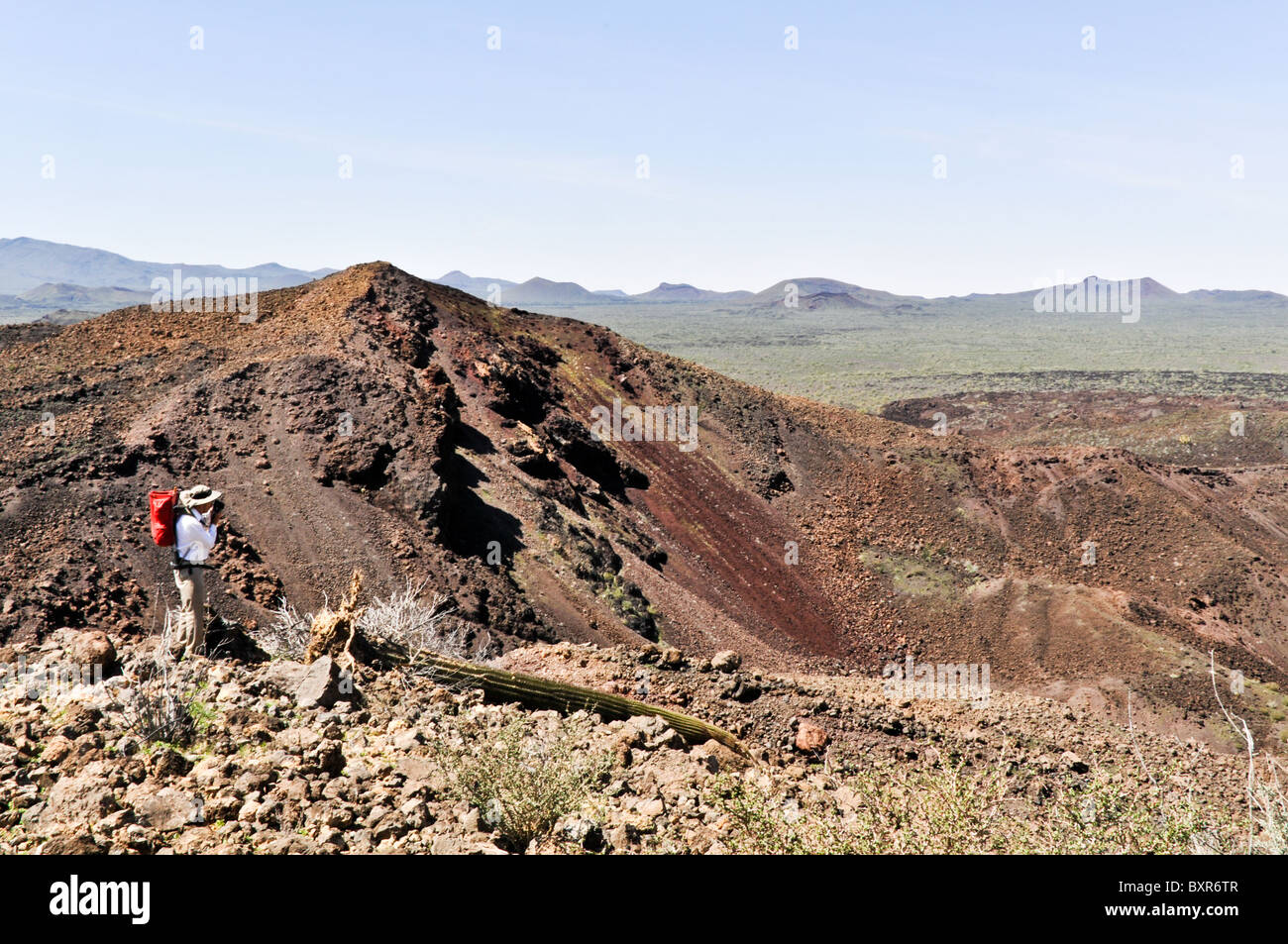 Geologist viewing interior of Tecolote cinder cone, El Pinacate Biosphere Reserve, Sonora, Mexico Stock Photo