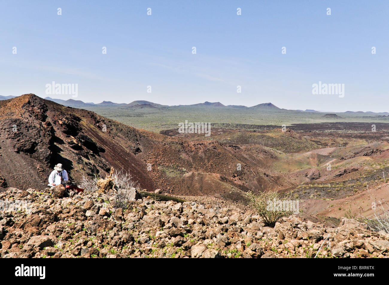 Geologist taking notes while viewing interior of Tecolote cinder cone, El Pinacate Biosphere Reserve, Sonora, Mexico Stock Photo