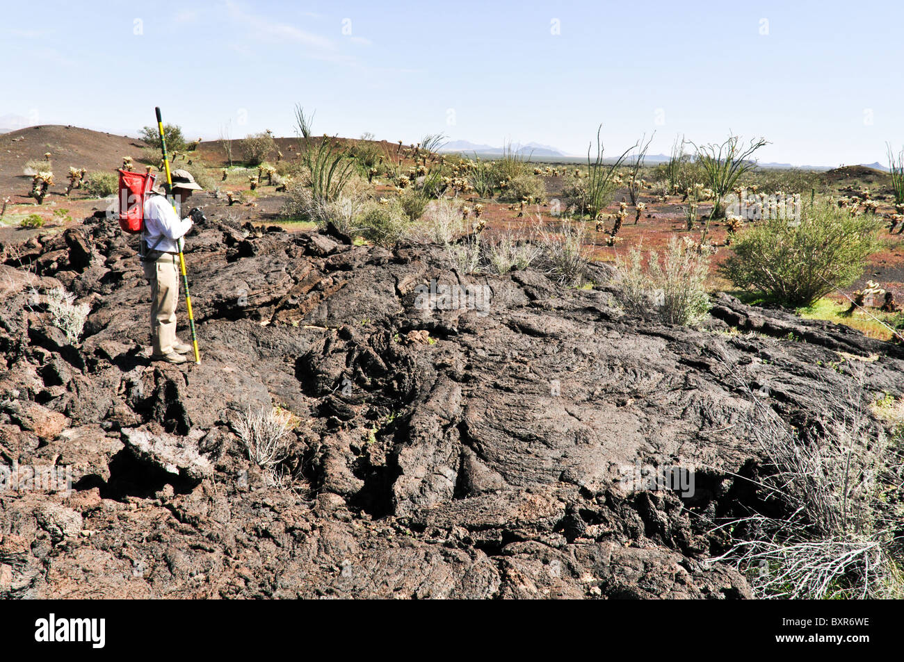 Geologist viewing pahoehoe lava flow near Tecolote cinder cone, El Pinacate Biosphere Reserve, Sonora, Mexico Stock Photo