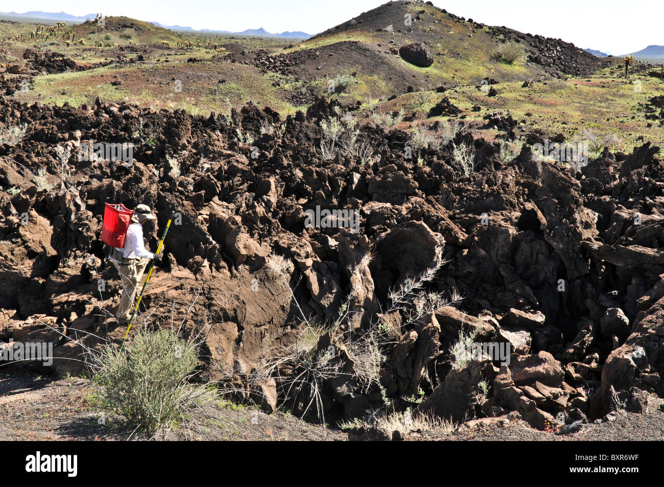 Geologist viewing extremely rugged lava flow on side of Tecolote cinder cone, El Pinacate Biosphere Reserve, Sonora, Mexico Stock Photo