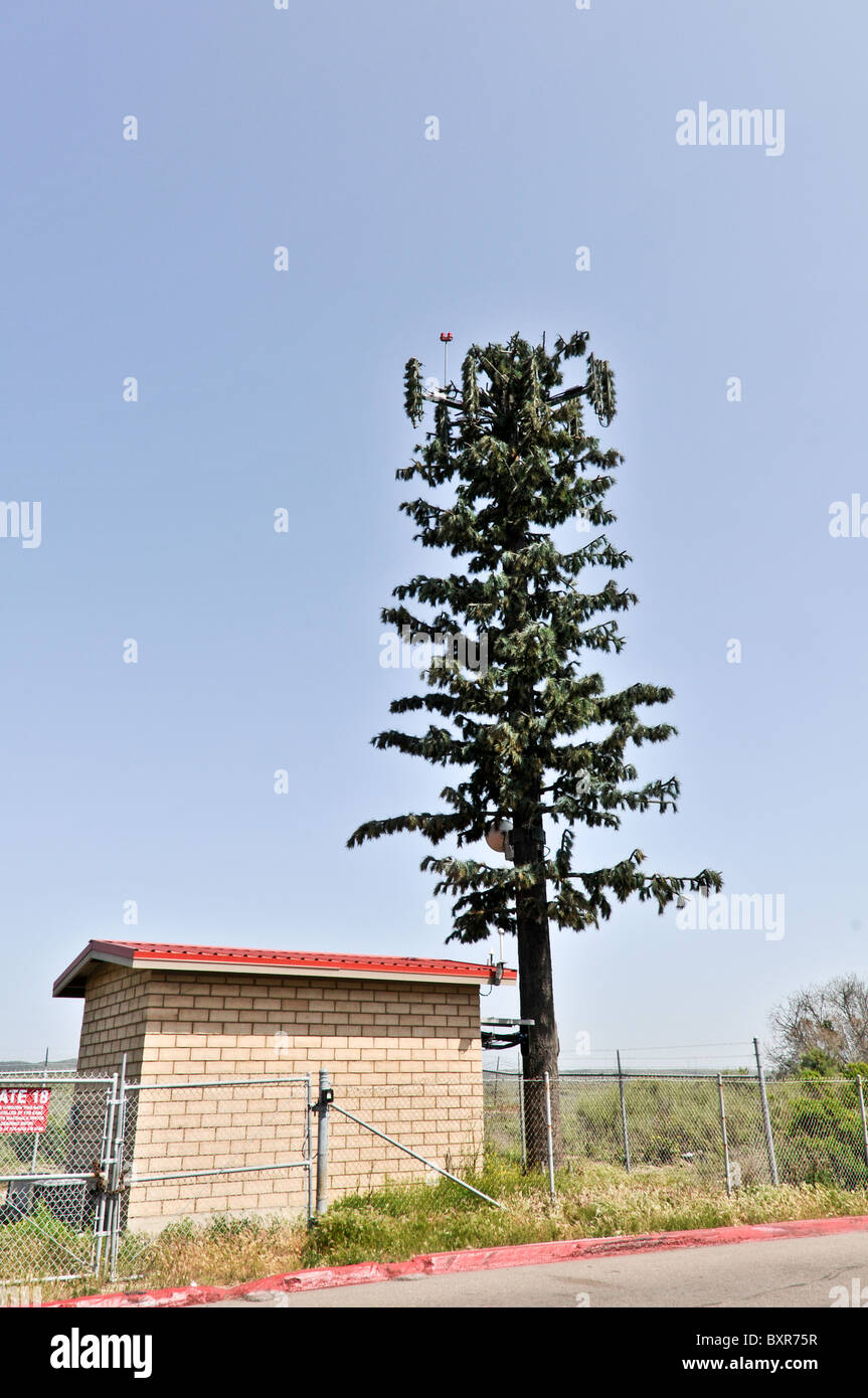 Cell phone tower disguised as a tree, Southern California Stock Photo