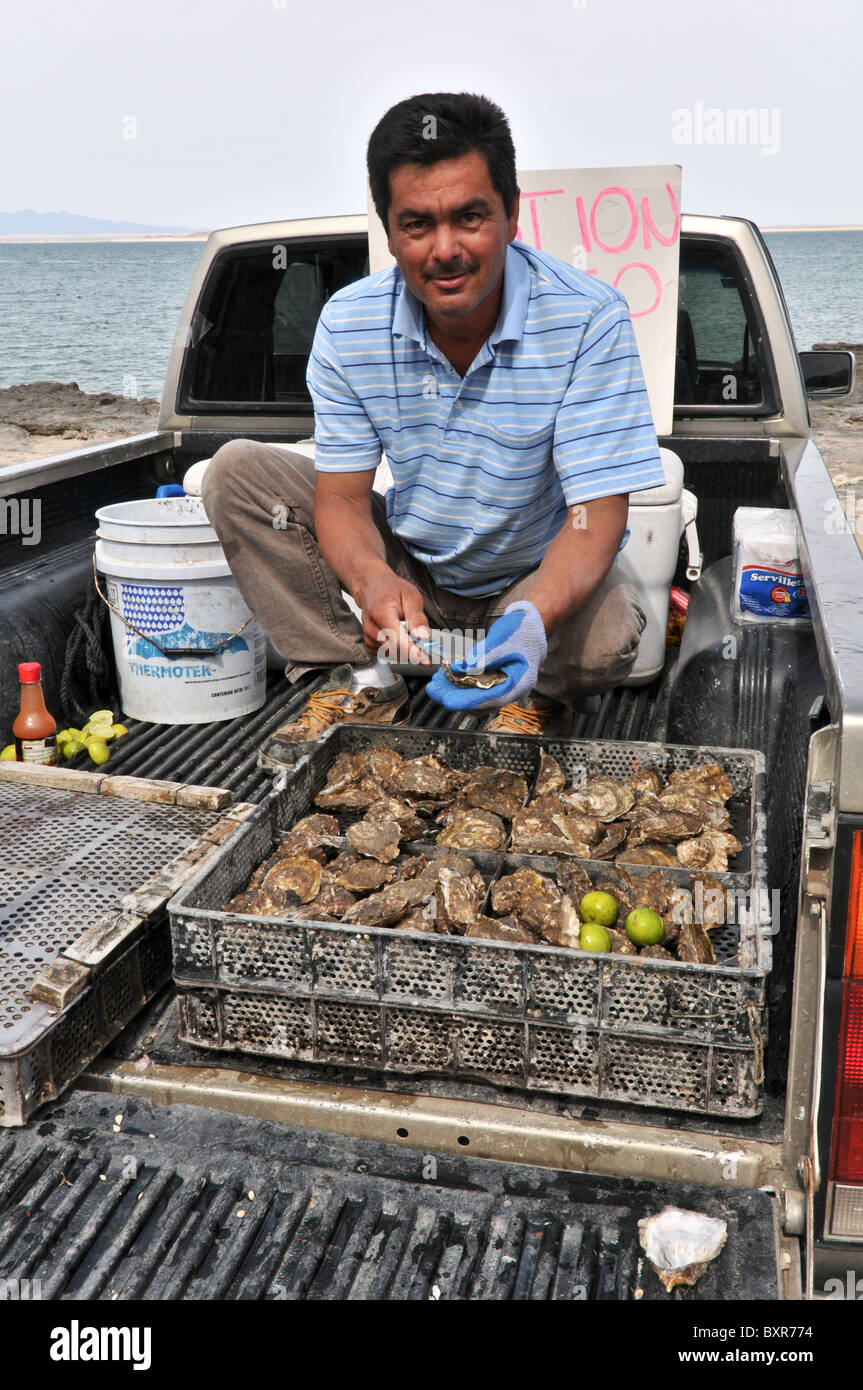 Oyster vendor, Puerto Penasco, Sonora, Mexico Stock Photo