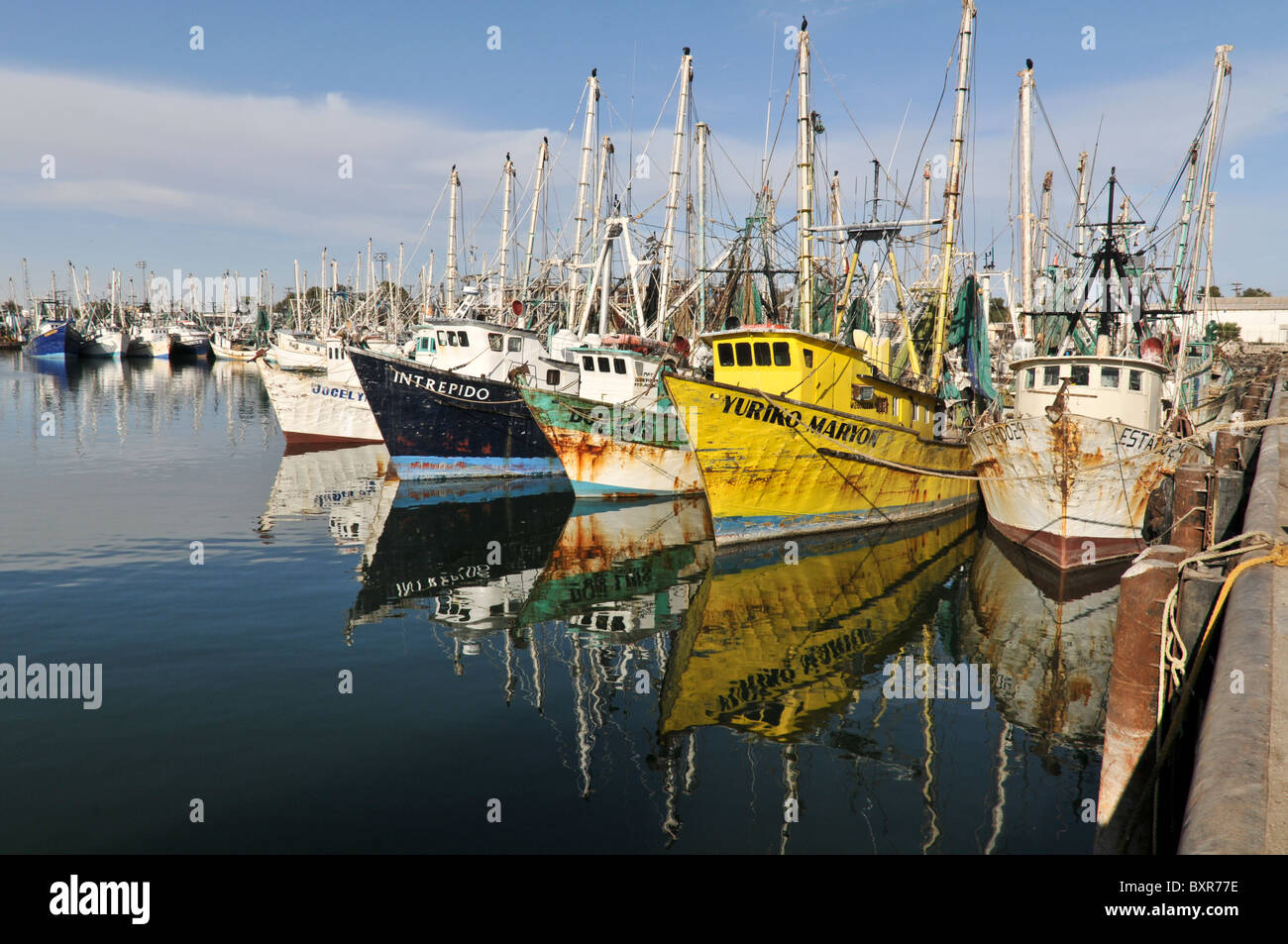 Shrimp boats docked in harbor, Puerto Penasco, Sonora, Mexico Stock Photo