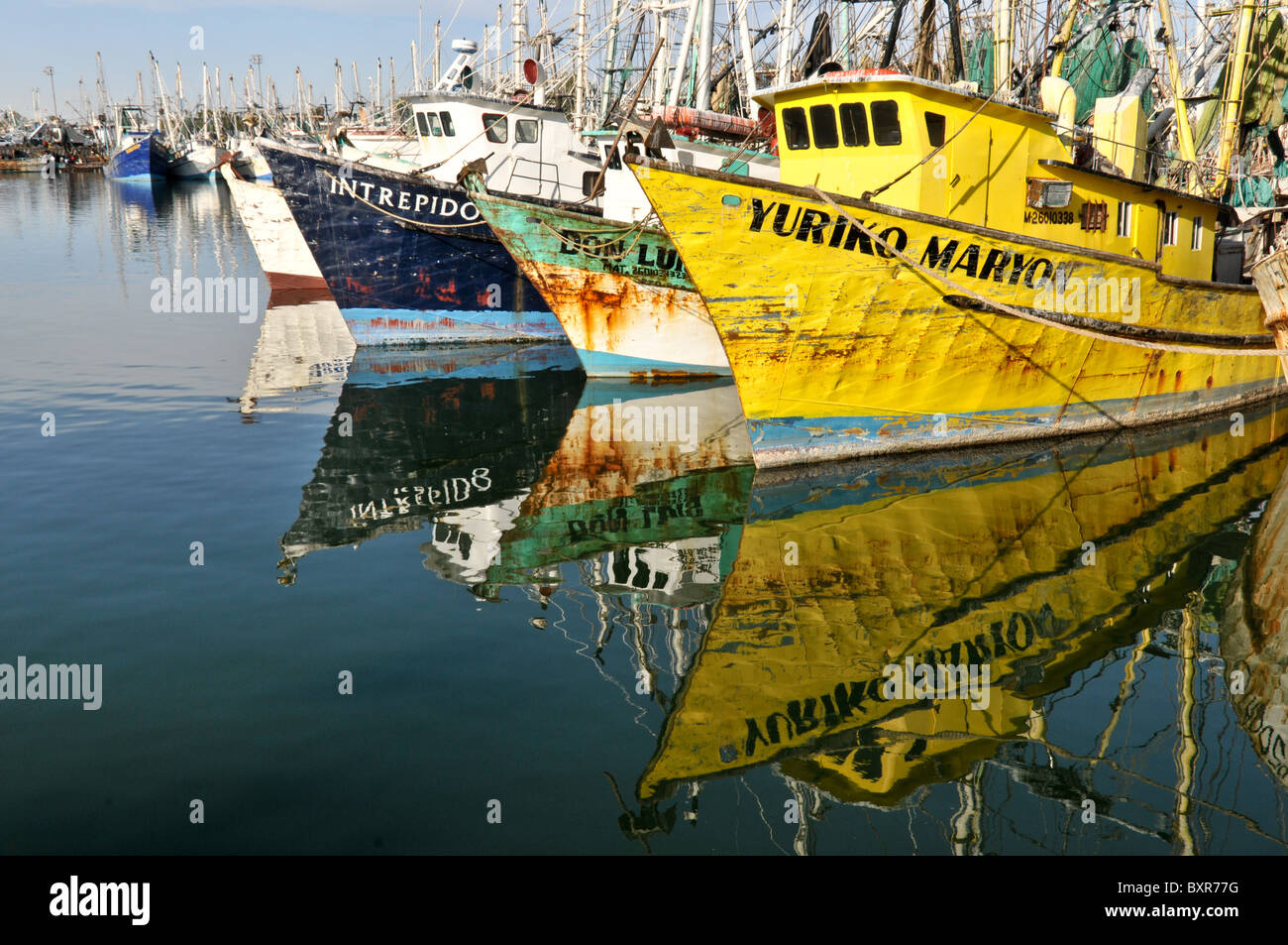 Shrimp boats docked in harbor, Puerto Penasco, Sonora, Mexico Stock Photo