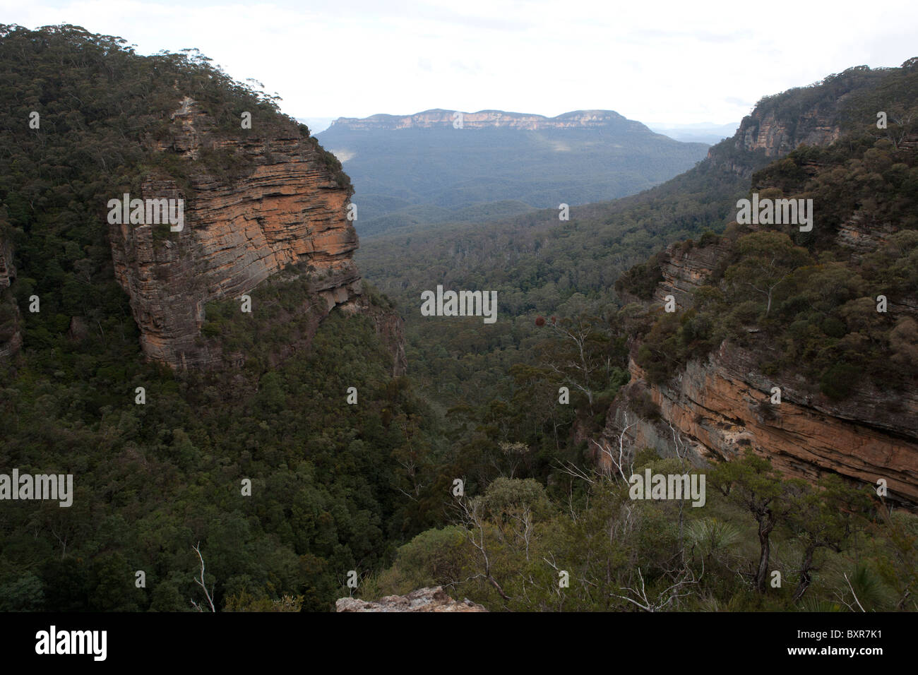 Aussie blue mountains hi-res stock photography and images - Alamy