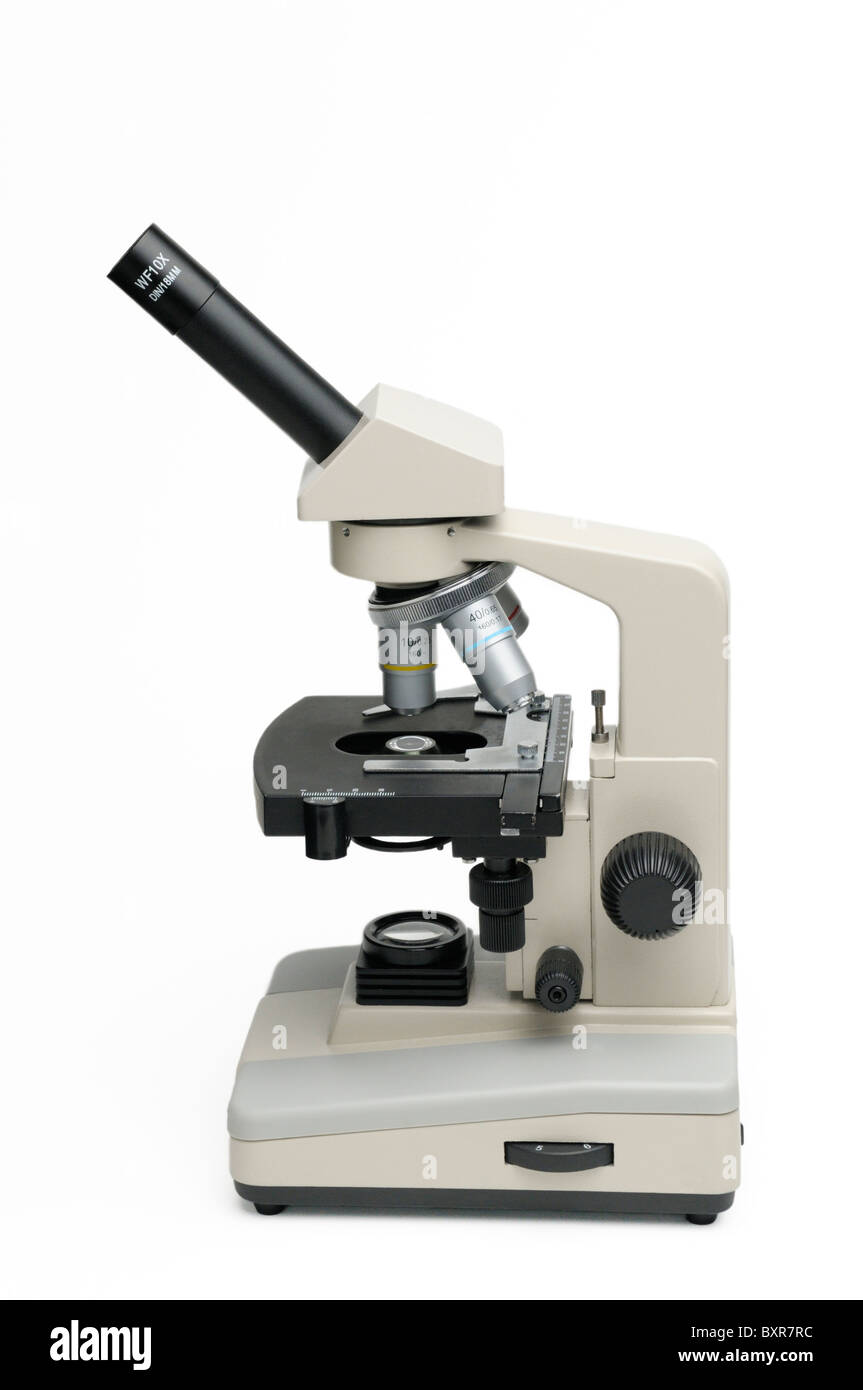 Example Of A Compound Light Microscope At Jasper Corral Blog Example Of A Compound Light Microscope At Jasper Corral Blog