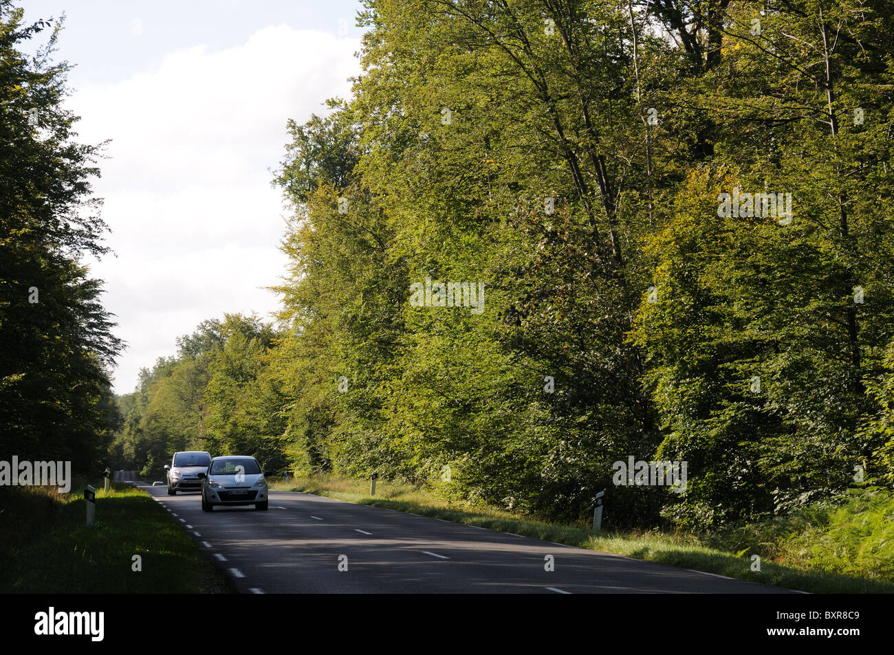 Cars travelling along Depatment road D332 through avenue of trees in Compiegne Forest France Stock Photo