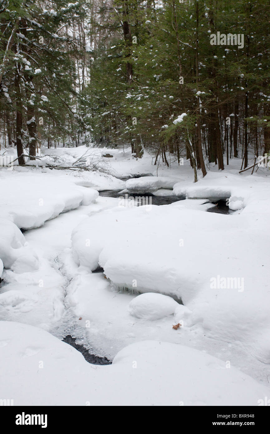 Stream in woodland after heavy snow; midwinter on the Robert Ingalls Preserve, Rensselaer, New York State Stock Photo