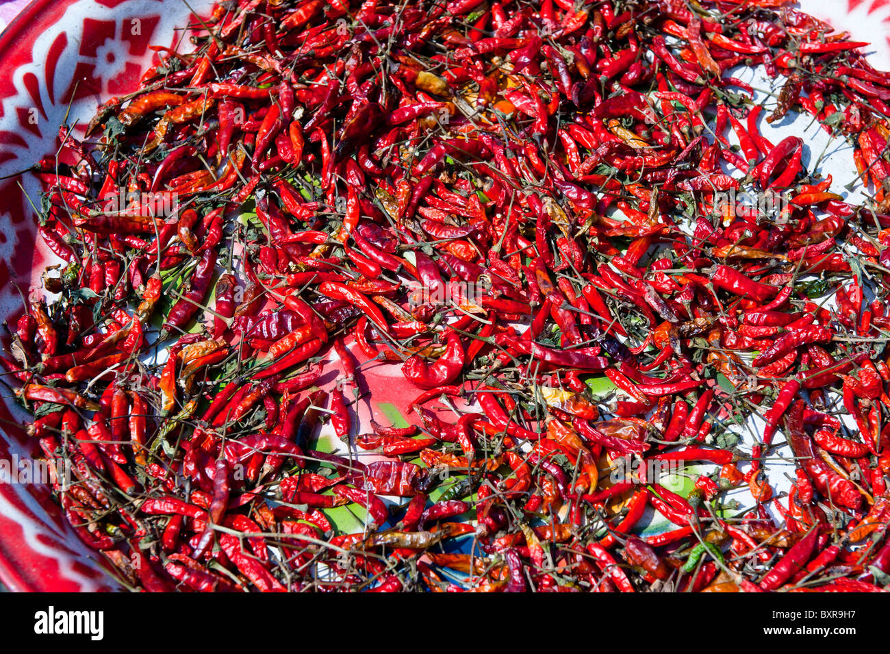 Red chilies are a regular and important part of the Thai cuisine Stock Photo