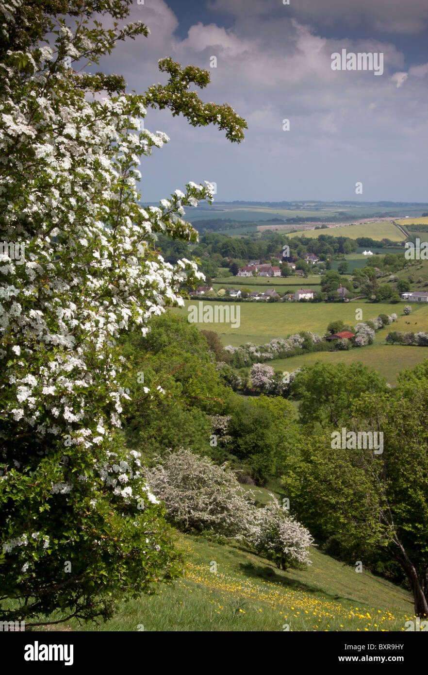 The Wiltshire village of Bowerchalke viewed from Woodminton Down Stock