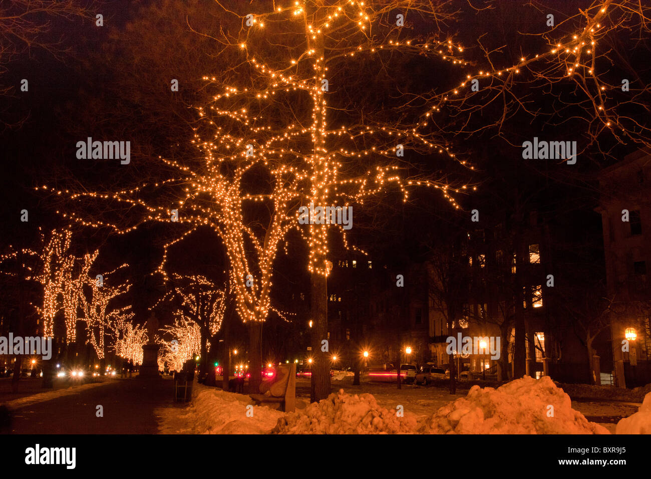 Christmas decorations on Commonwealth Avenue, in the city of Boston, Ma