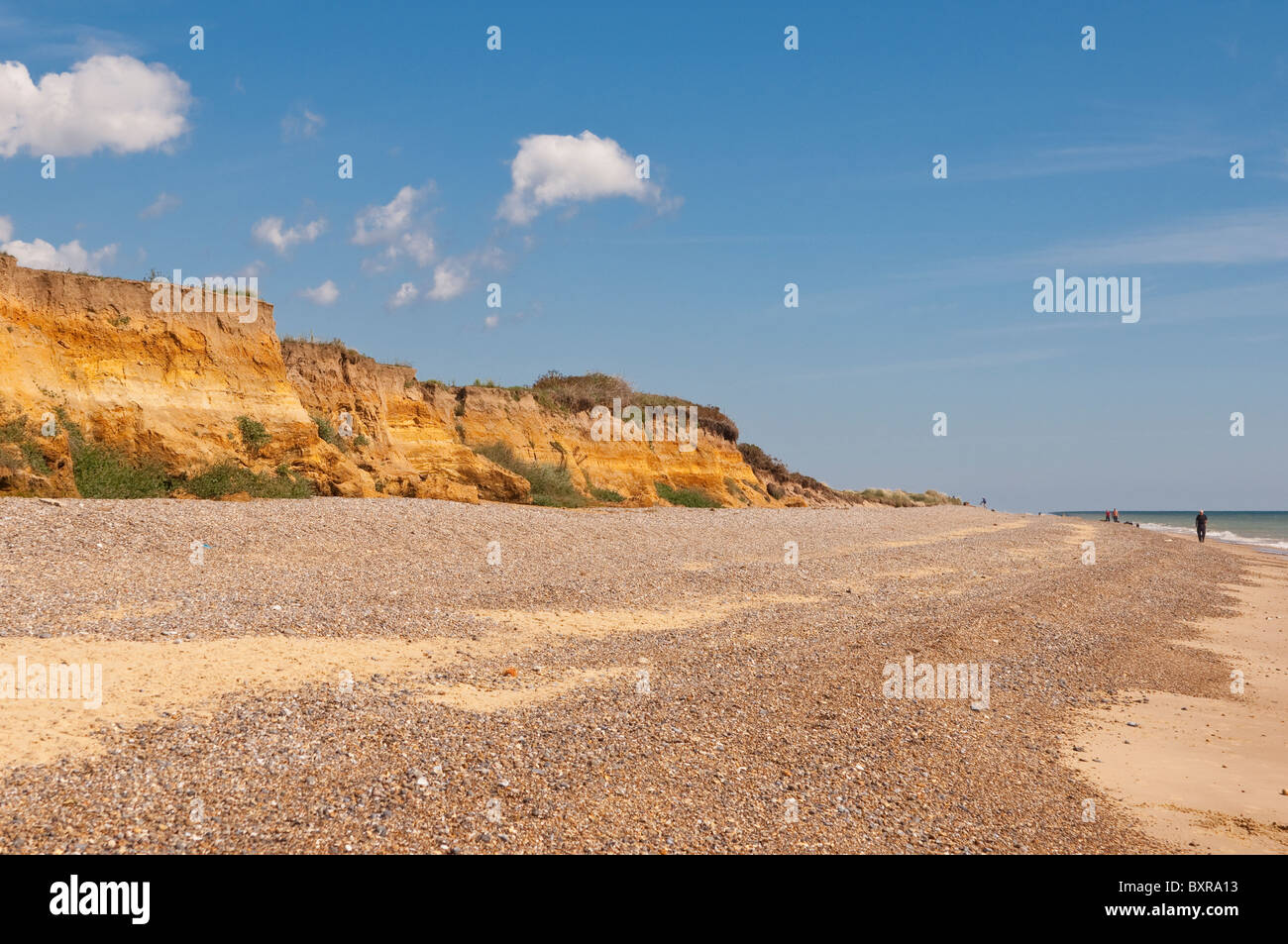 The cliff showing coastal erosion on the beach in Benacre , Suffolk , England , Great Britain , Uk Stock Photo