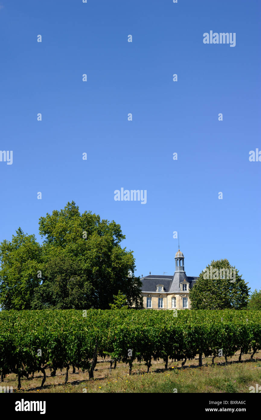 France, Bordeaux, Médoc vineyards, Chateau Fonreaud Stock Photo