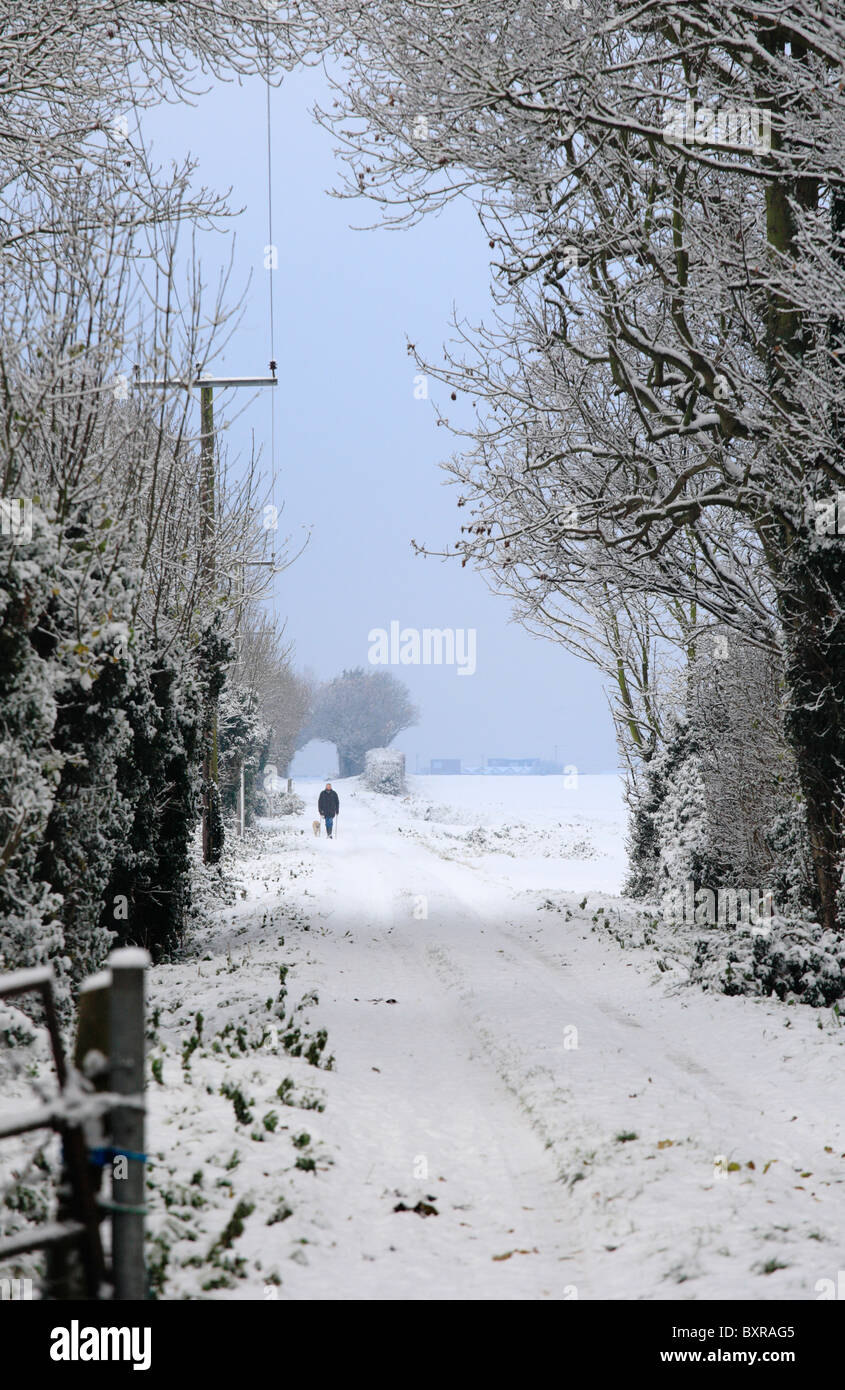 A man walking his dog along a snow covered track. Stock Photo