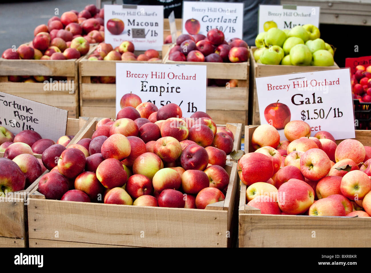 Premium Photo  Fresh organic red apples from the local farmers market