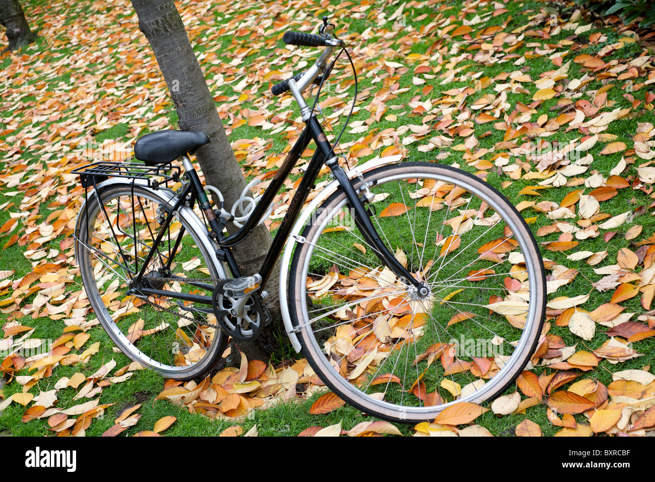 Chelsea Bicycle High Resolution Stock Photography and Images - Alamy