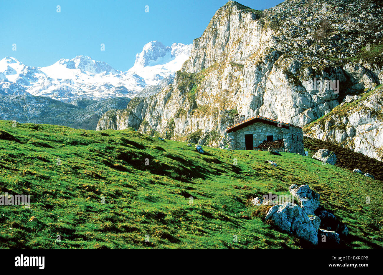 National Park  Picos de Europa, Asturias, Spain Stock Photo
