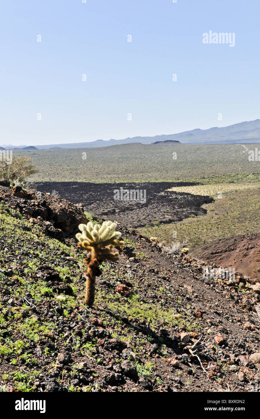 View of lava flow from side of El Tecolote Cinder Cone, El Pinacate Biosphere Reserve, Sonora, Mexico Stock Photo