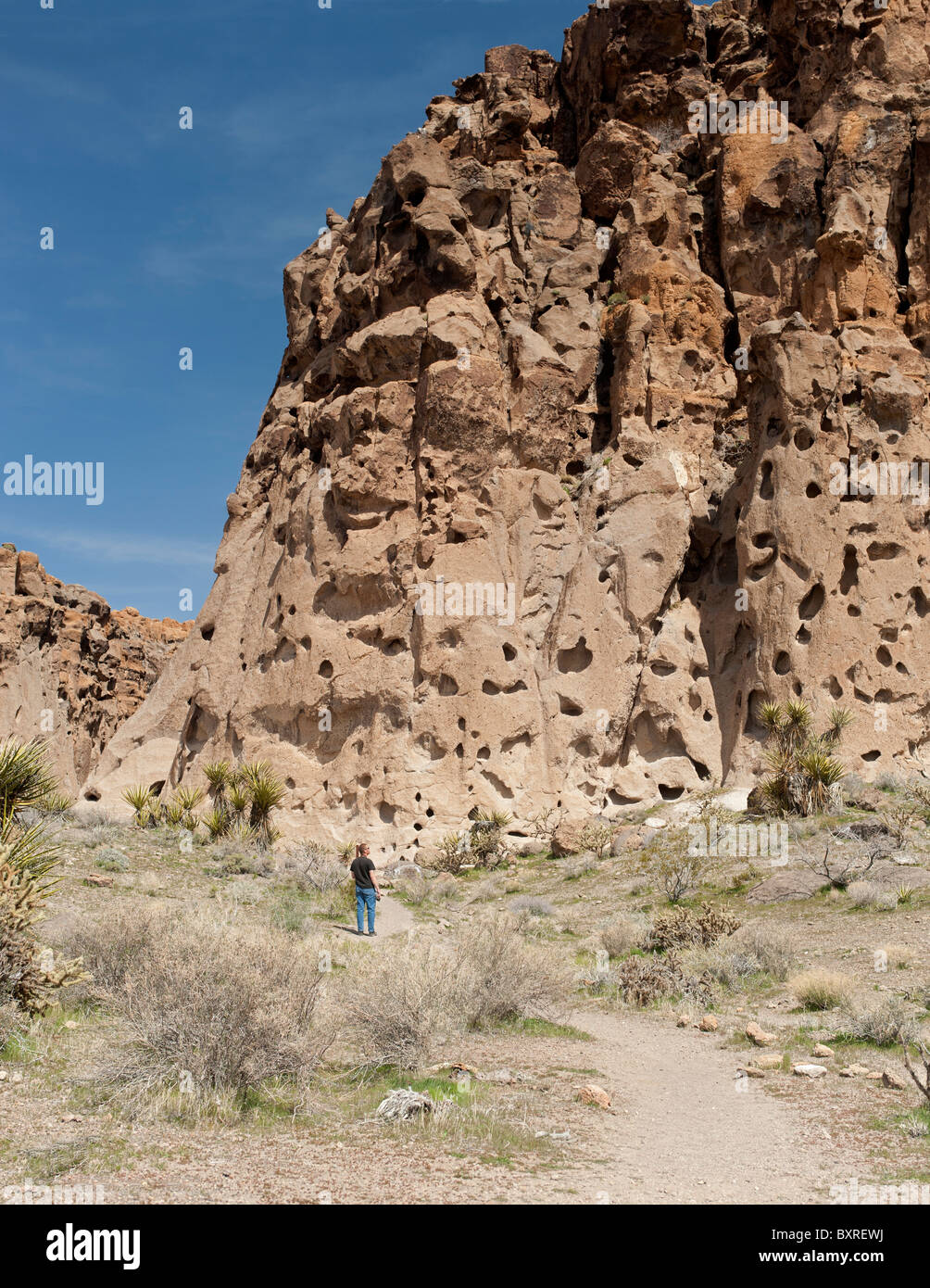 rhyolite cliffs at Hole-In-The-Wall, Mojave National Preserve Stock Photo