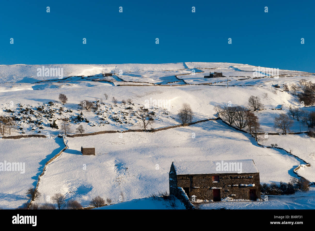 Field barns in Upper Swaledale near Thwaite on a cold winters day. Stock Photo
