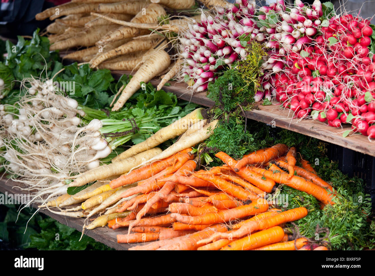 Hyde park new york hires stock photography and images Alamy