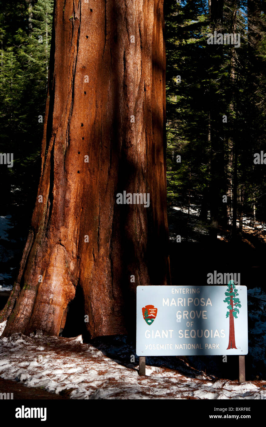 National Park Sign to the entrance of Mariposa Grove of Giant Sequoias