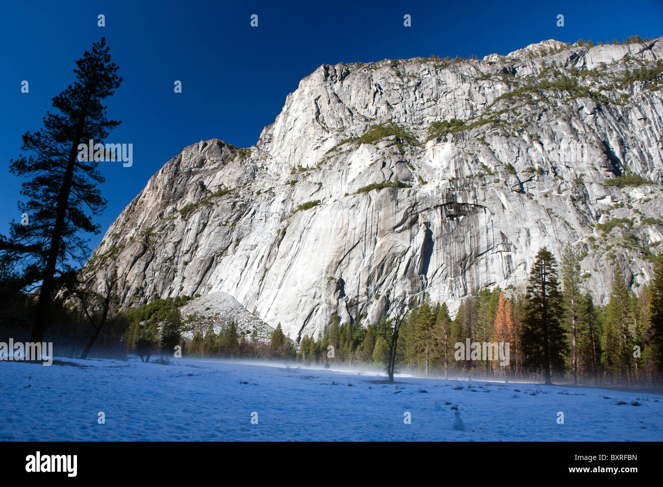 Valley floor covered in snow with evergreen trees, Yosemite National Park, California, United States of America Stock Photo
