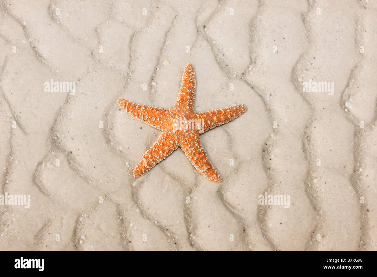 Beautiful summer vacation beach background with copy space Stock Photo
