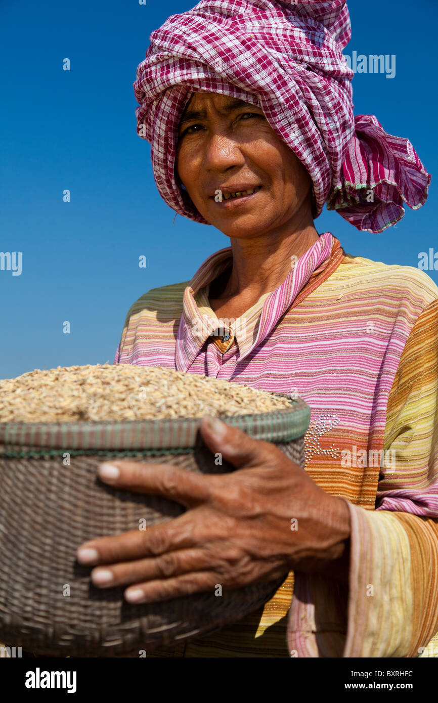 Cambodian female farmer holding a basket full of rice grains - Takeo Province, Cambodia Stock Photo