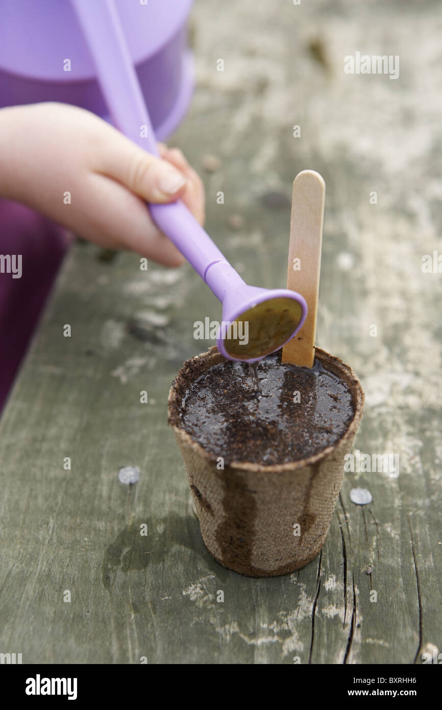 Hand watering seeds in small biodegradable pot with watering can Stock Photo