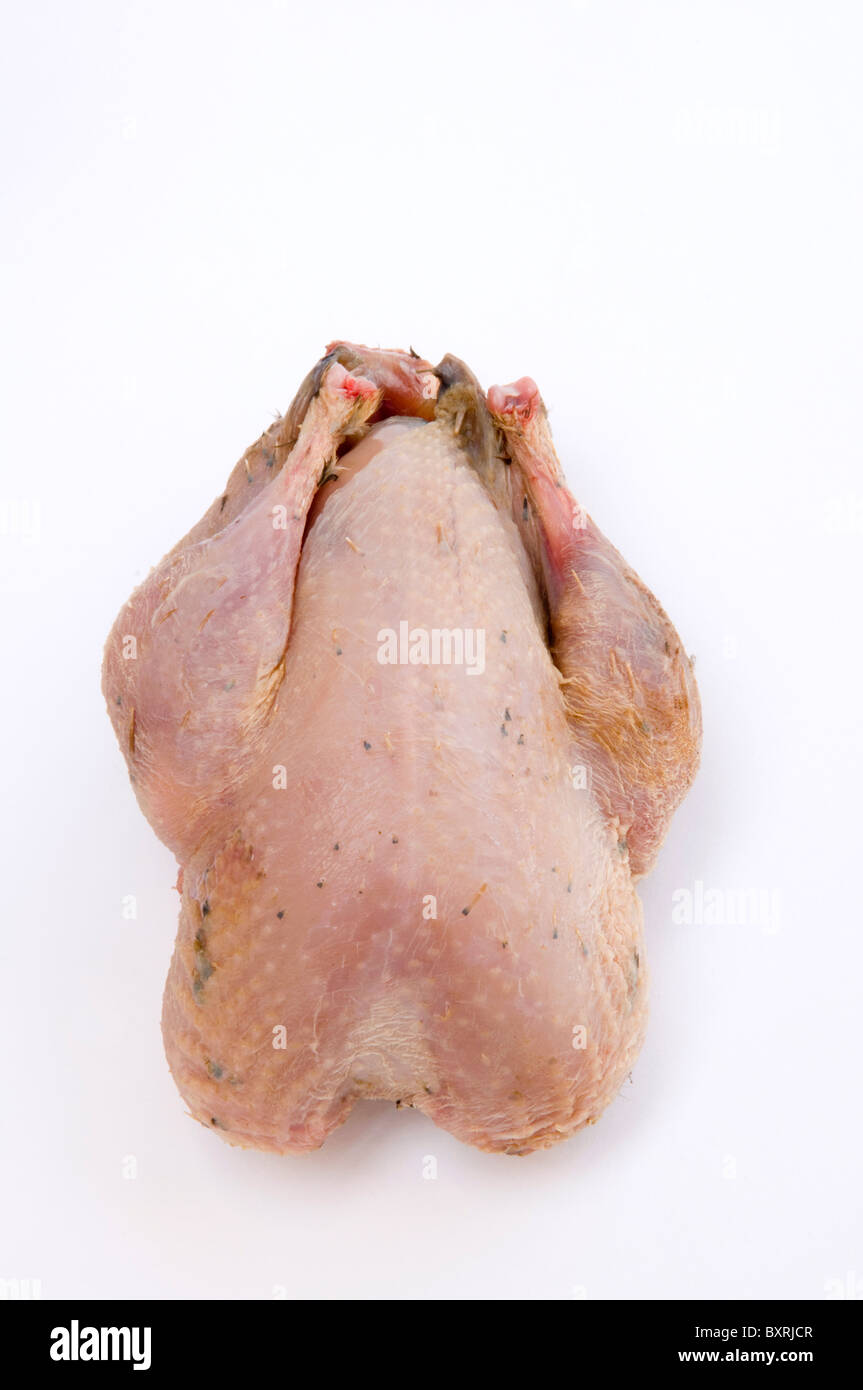 Whole fresh partridge, closeup Stock Photo Alamy