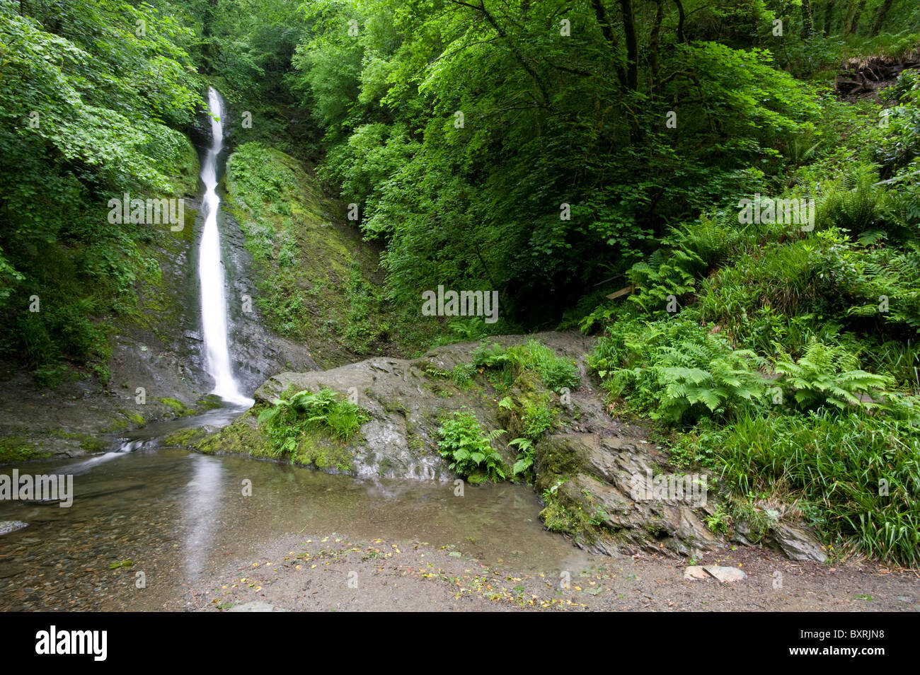 Great Britain, England, Devon, Dartmoor National Park, Whitelady Falls, Lydford Gorge Stock Photo