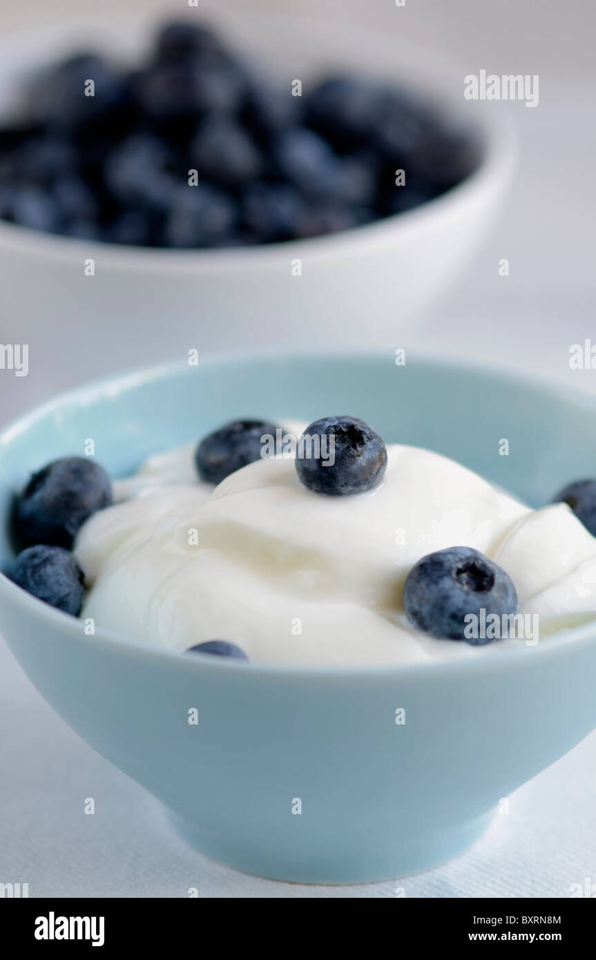 Fresh yoghurt with bleberry in a blue bowl Stock Photo
