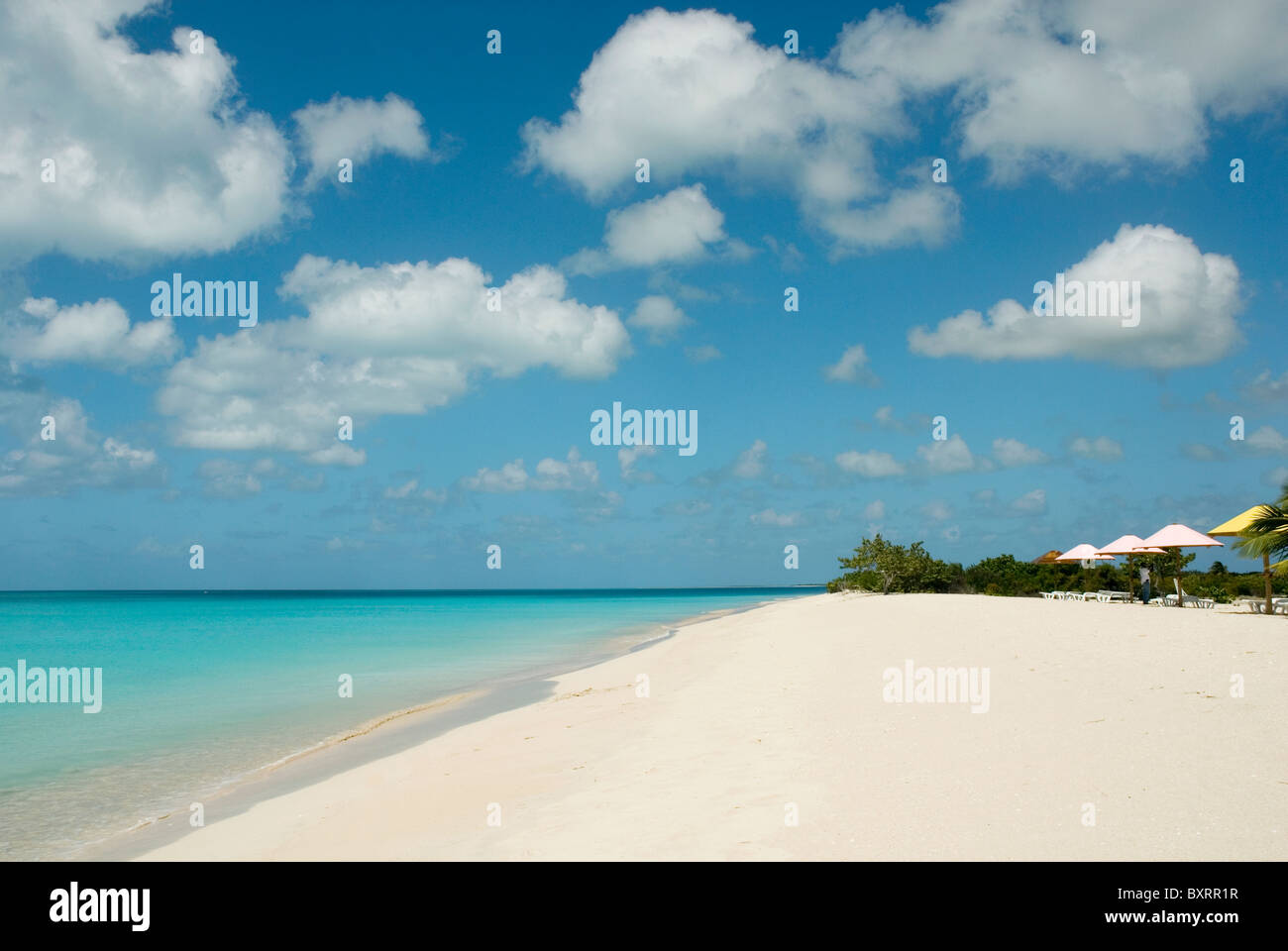 Caribbean, Leeward Islands, Barbuda, View of Seventeen Mile Beach Stock Photo