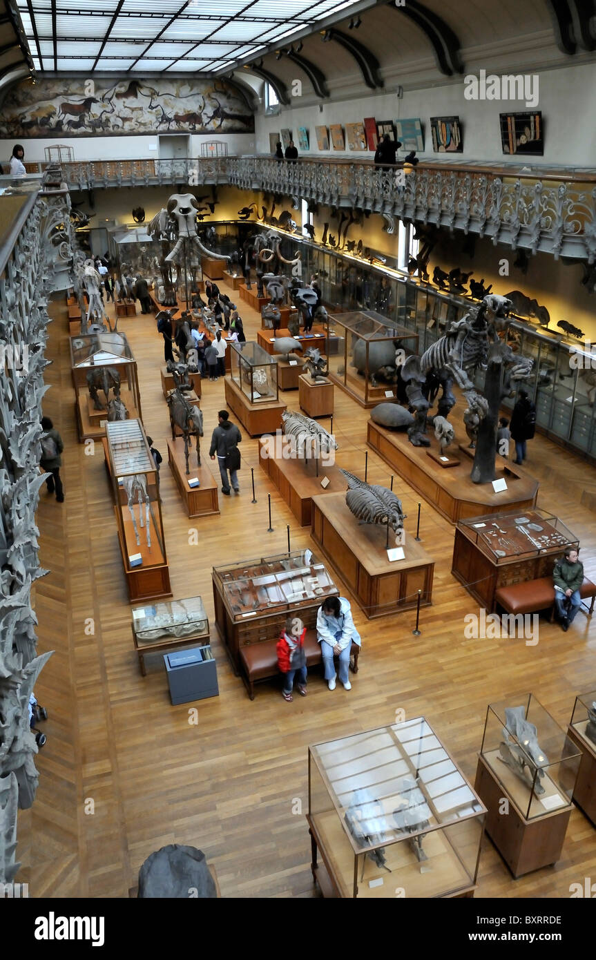 Muséum National d'Histoire Naturelle, Jardin des Plantes botanical garden, Paris, Île-de-France, France, Europe Stock Photo