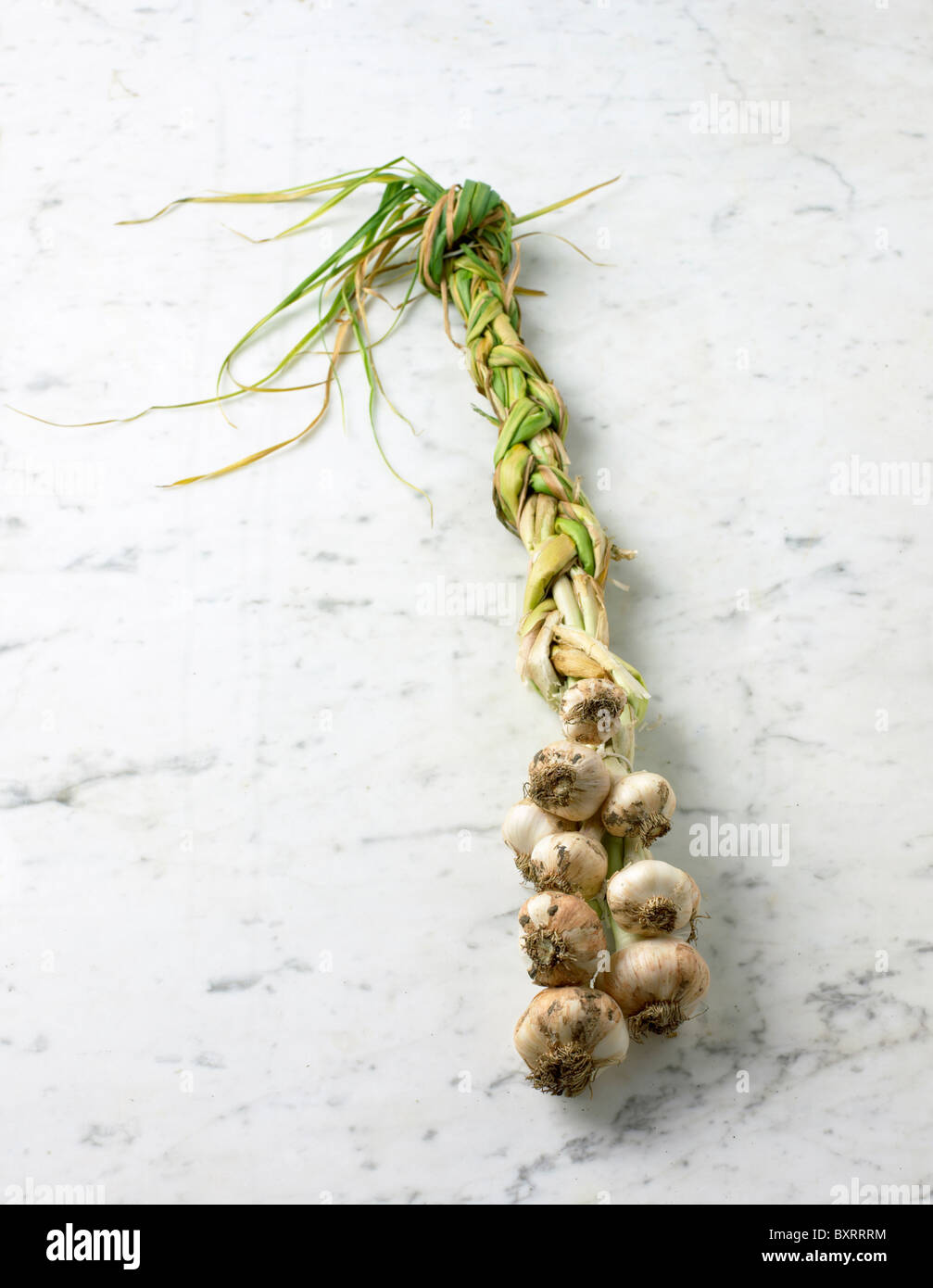 Plaited garlic bulbs Stock Photo