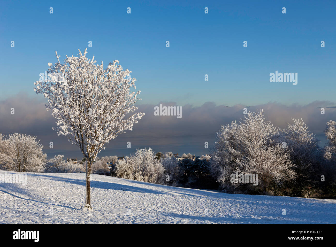 Winter scene with view over Greenock form the Lyle park Stock Photo